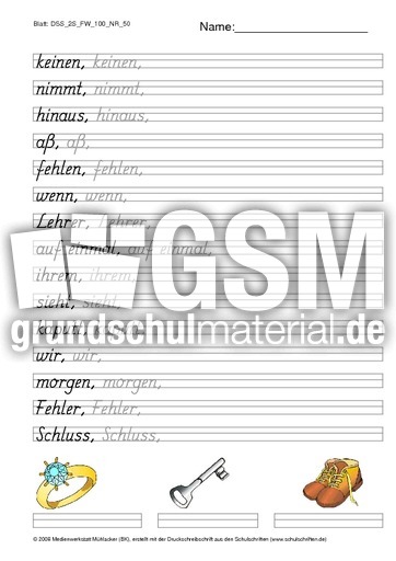 DSS_2S_FW_100_NR_50.pdf
